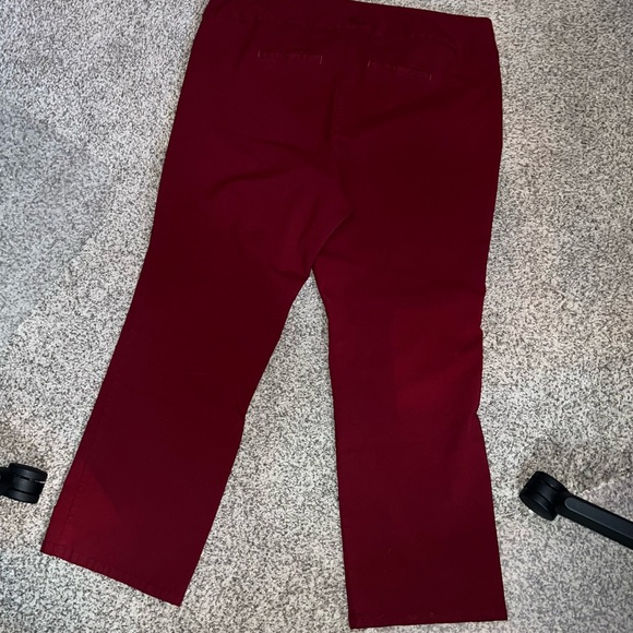 Torrid Studio pants 24T - Picture 2 of 5
